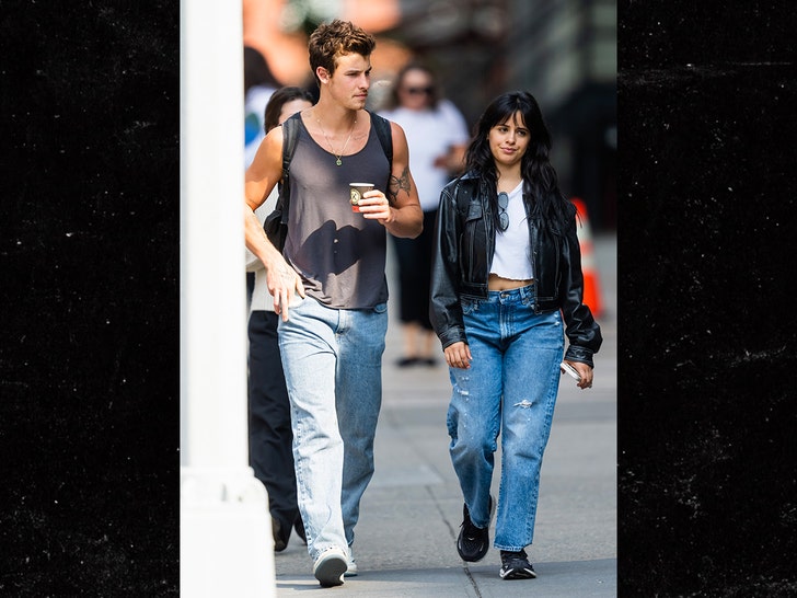 Shawn Mendes and Camila Cabello still going strong after giving their relationship a second chance