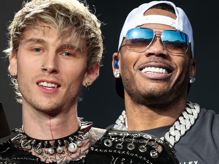 Nelly Makes Surprise Appearance at Machine Gun Kelly Concert After Arrest