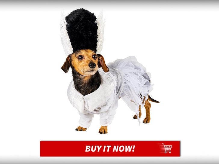 Frankenstein is making a return to theaters, but your dogs can show your fandom before the new release with this Bride of Frankenstein Pet Halloween Costume!