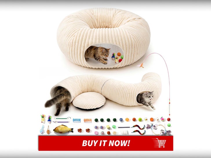 Cat-Tunnel-Bed-And-Toys-International-Cat-Day-MAIN