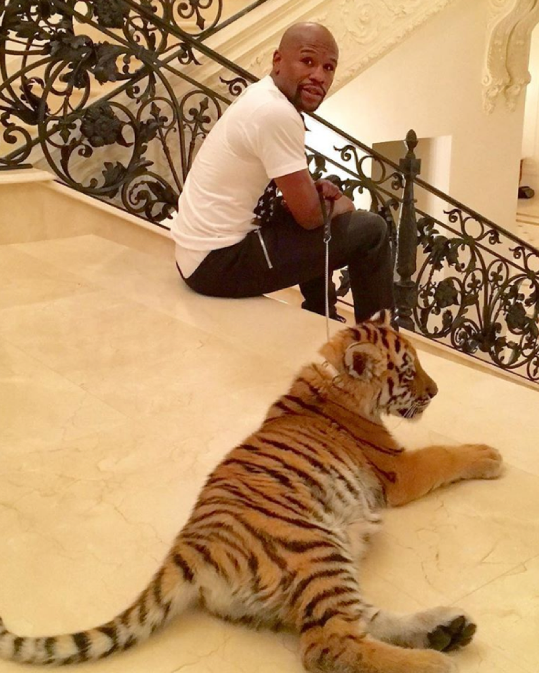 floyd_mayweather_living_large_2_photos7