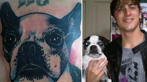 'Big Time Rush' Star Kendall Schmidt -- Check Out My Sissy Tattoo