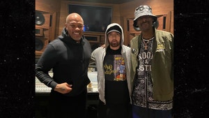 Dr. Dre, Eminem & Snoop Dogg Hit The Studio, New 'Chronic' Coming Soon?!
