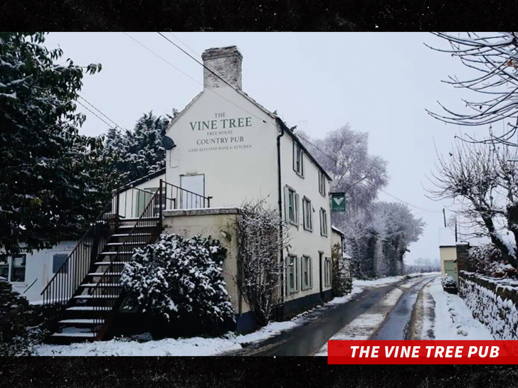 The Vine Tree Pub