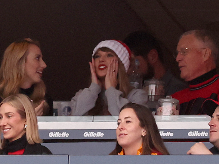 Taylor Swift Watches The Chiefs vs. Patriots