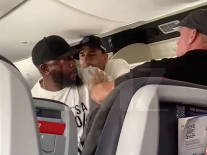 american airlines fight