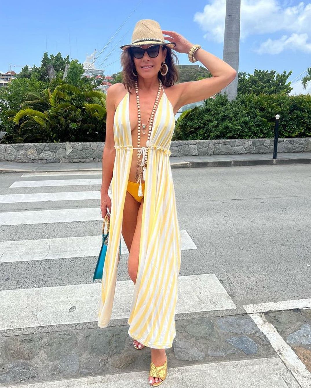 1003 Luann de Lesseps Bikini Snaps  31