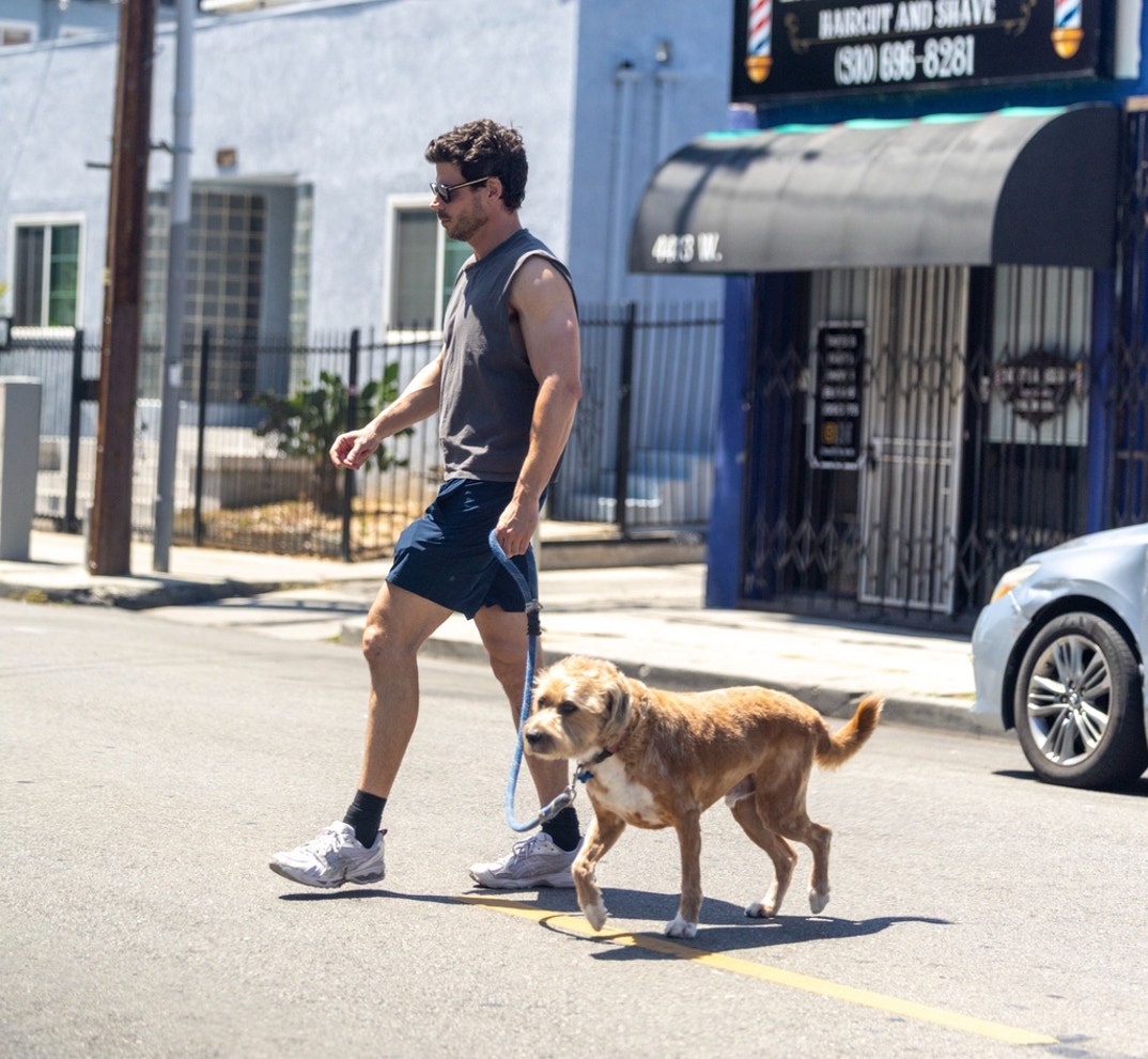 FranCois Arnaud Dog Walk 5