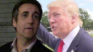 Michael Cohen Sues Donald Trump Org. Over Millions in Attorneys' Fees