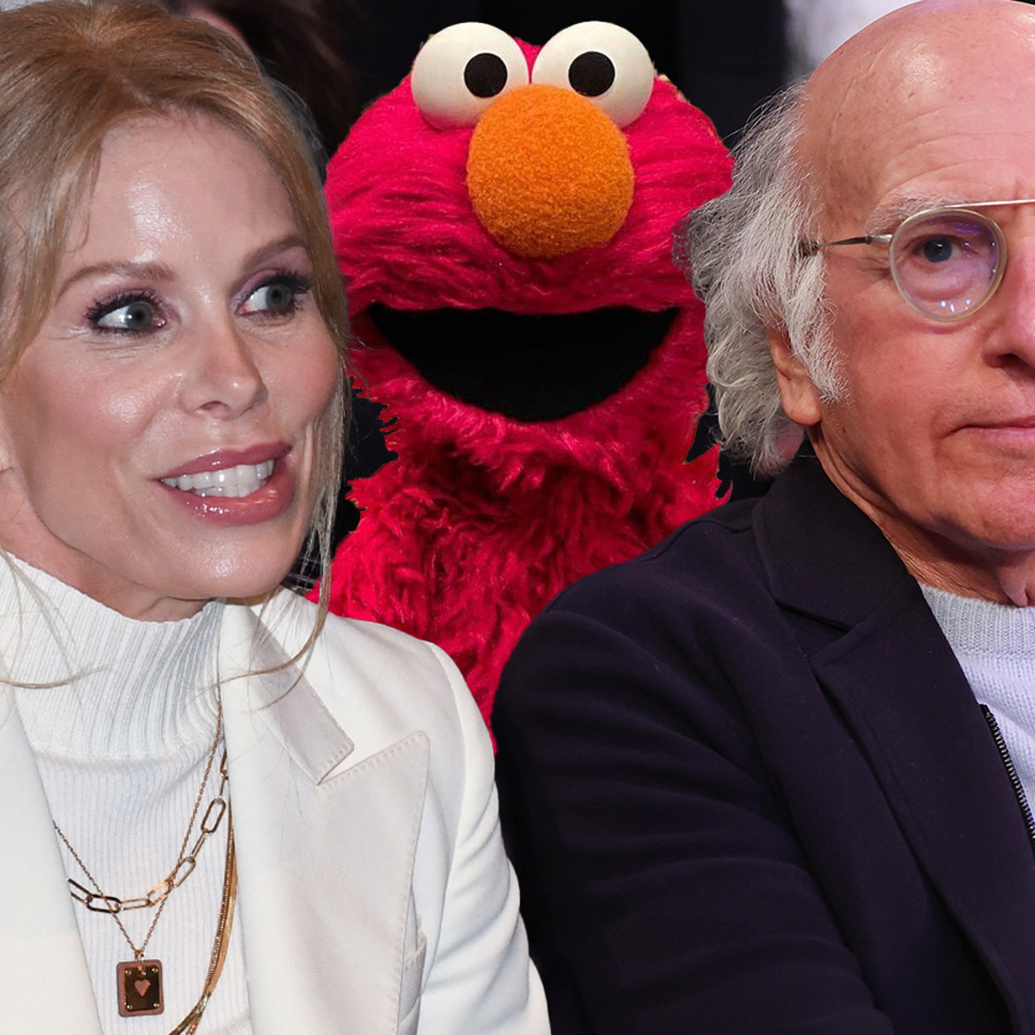 Cheryl Hines Defends Larry David Beating Up Elmo