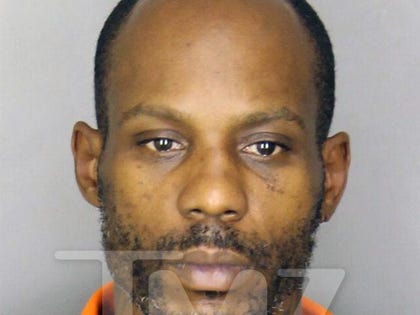 0821-dmx-mug-shot