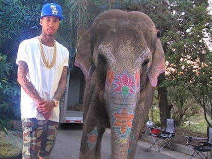 042914_tv_elephant_v2