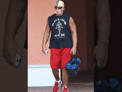 0725-main-hulk-hogan-fame-01