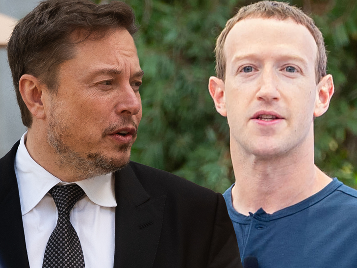 elon musk and mark zuckerberg