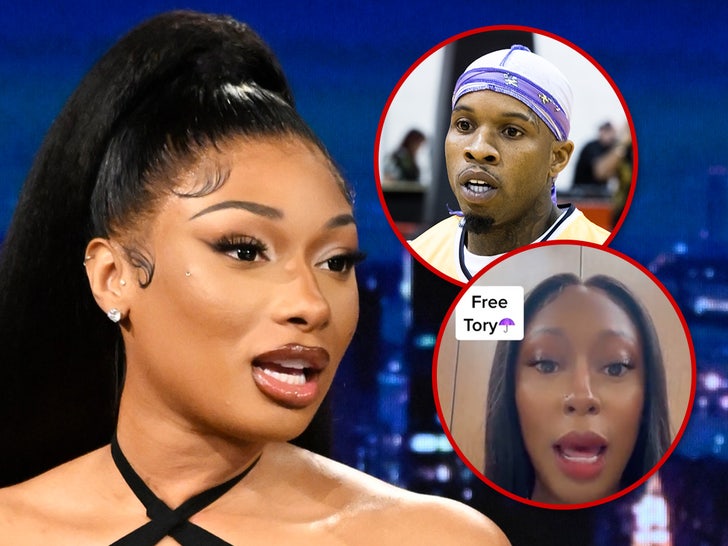 Megan Thee Stallion Sues Blogger For Posting Alleged Lies, Deepfake Porn