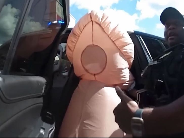 112125_trump_penis_protestor_arrest_car