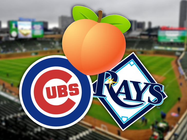 cubs rays butt main getty