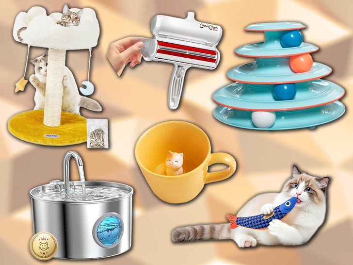 Amazon-International-Cat-Day-PRIMARY