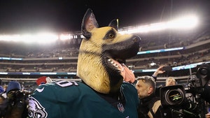 Philadelphia Eagles to Fans: Bring Your Dog Masks!!!