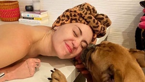 Miley Cyrus Adopts Abandoned Bulldog