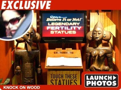 Knock On Wood - Launch Photos