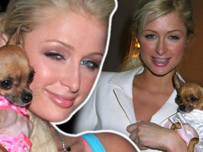 paris-hilton