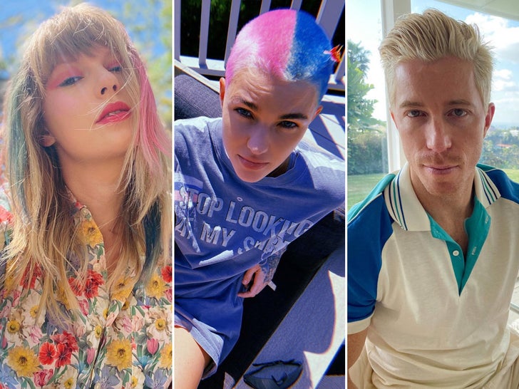 Colorful Celebrity Quarantints -- Hair DOs