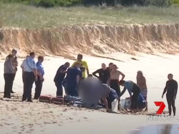 shark attacks surfer