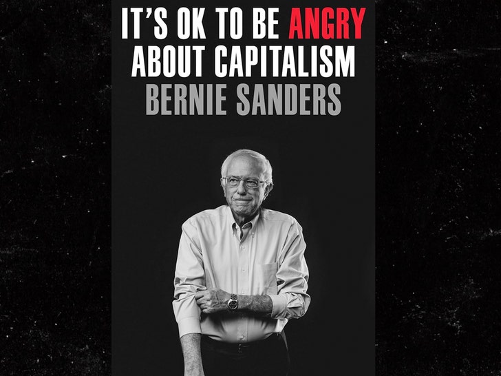 bernie sanders book its ok to be angry about capitalism
