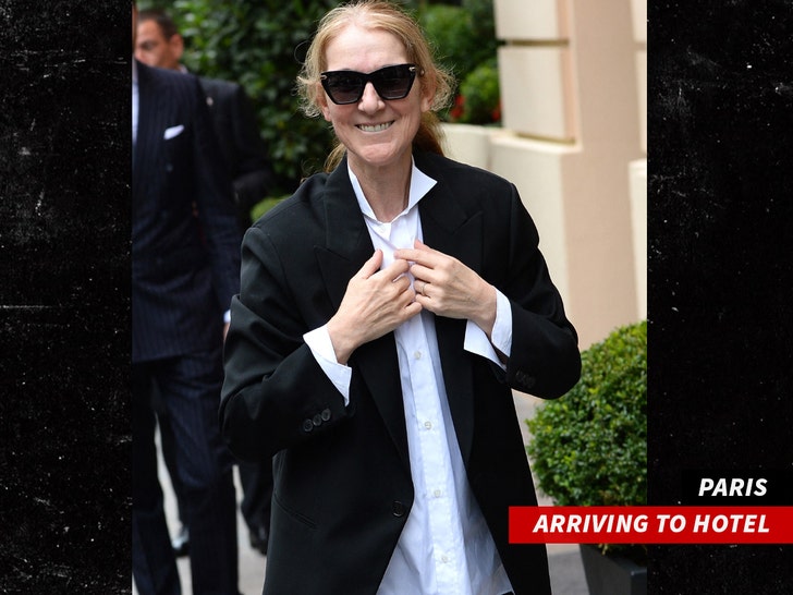 Celine Dion arrives at the Royal Monceau Hotel in Paris