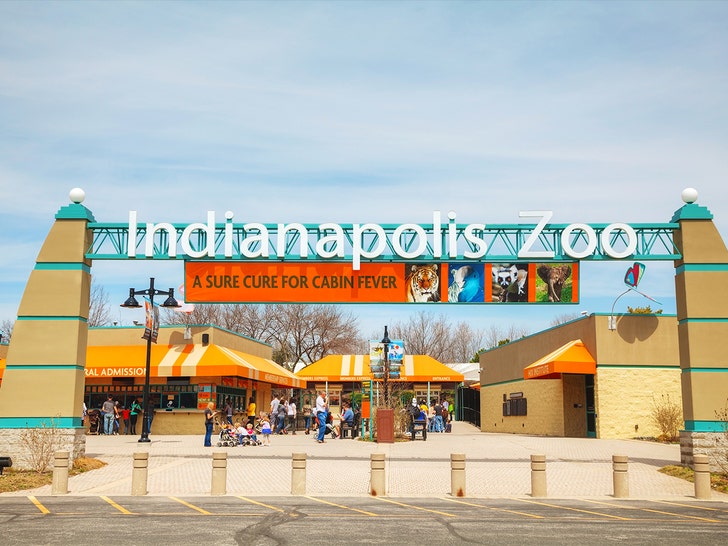 indianapolis zoo getty 1