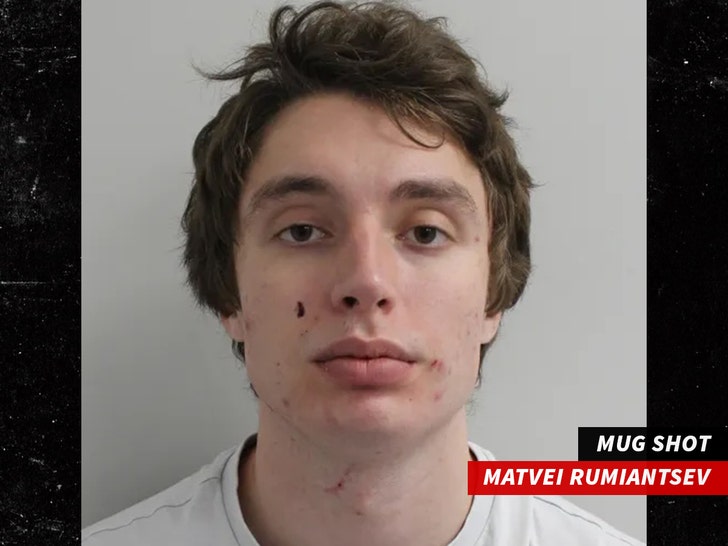 Matvei Rumiantsev POLIZIA METROPOLITANA