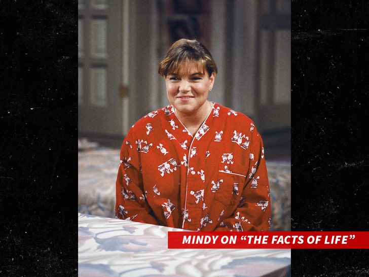 Mindy-Cohn-the-facts-of-life-sub-getty-1