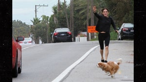Courteney Cox's Dogs Run Into Traffic on PCH, Saved by Driver