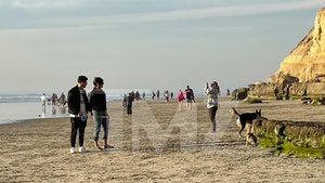 Nick Jonas and Priyanka Chopra Take Romantic Beach Stroll with Dogs