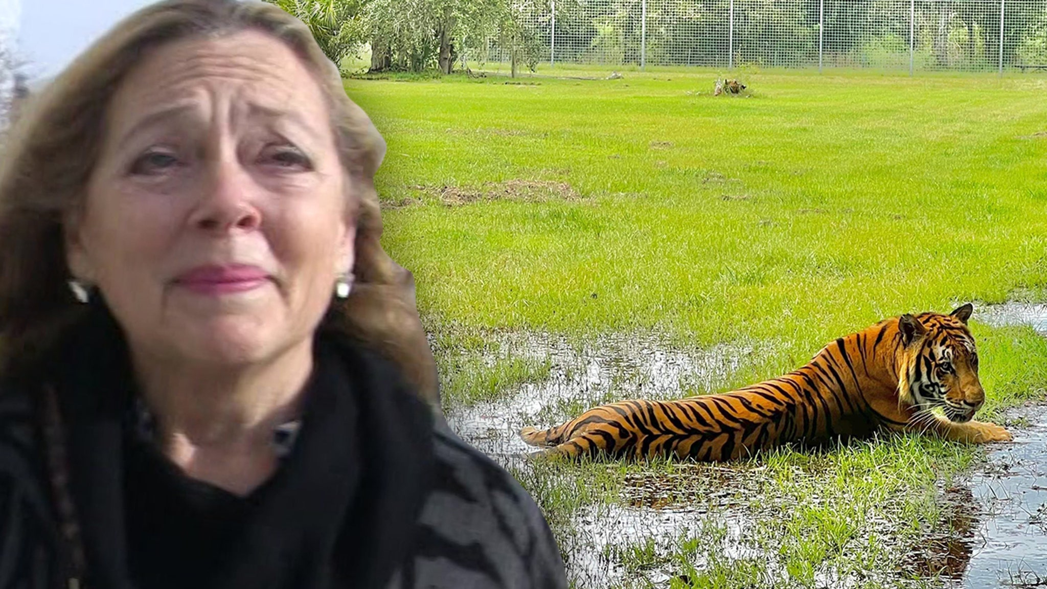 Carole Baskin and Big Cats Sheltering in Place for Hurricane Ian thumbnail