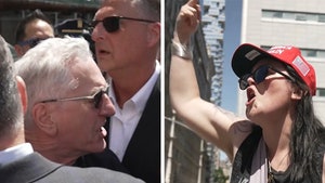 Robert De Niro Goes Toe-to-Toe with Trump Supporters Outside NYC Courthouse