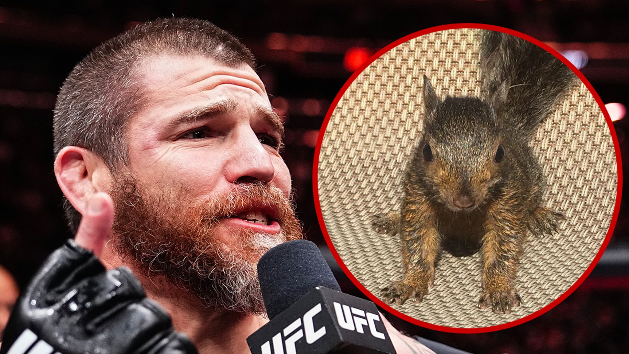 Peanut the Squirrel Shouted Out at UFC 309 and ‘SNL’