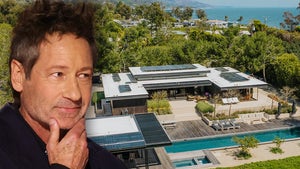 David Duchovny Alongside His Malibu Home