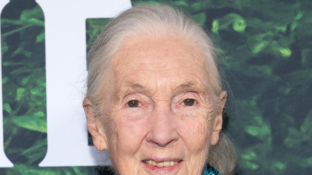 Jane Goodall Died October 1, 2025