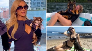 0509-Celebrity-Dog-Moms-hero