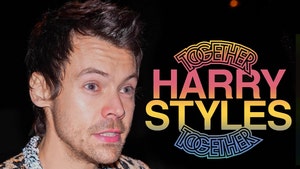main Harry Styles Team Responds to Stage Complaints getty