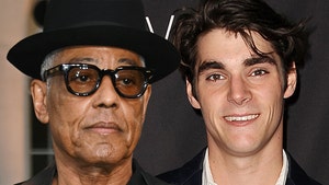 Giancarlo Esposito rj mitte main