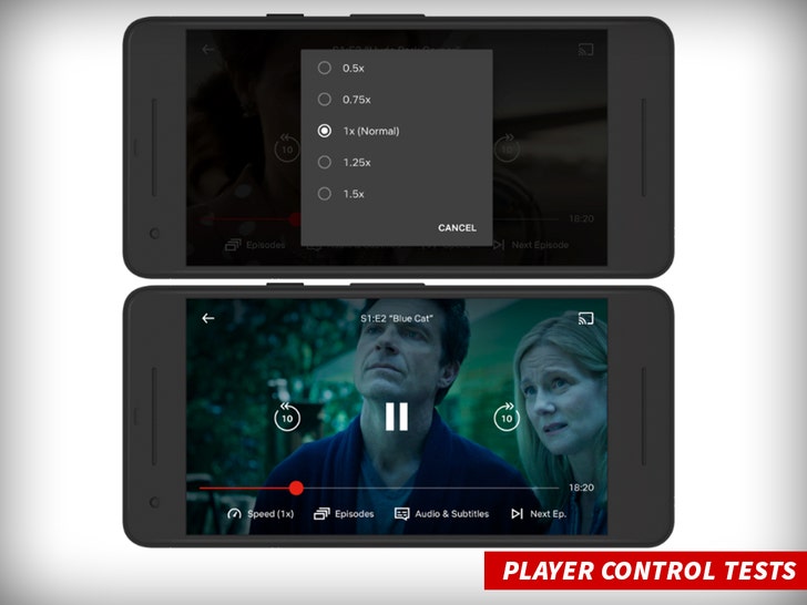 1029 netflix media control test 2