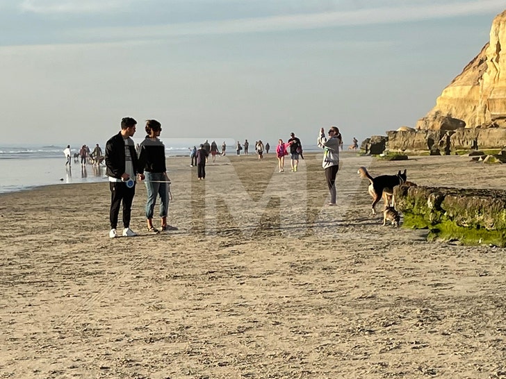 Nick Jonas and Priyanka Chopra Take Romantic Beach Stroll with Dogs.jpg
