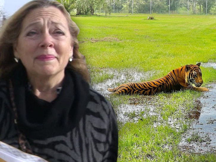 Carole Baskin and Big Cats Sheltering in Place for Hurricane Ian.jpg