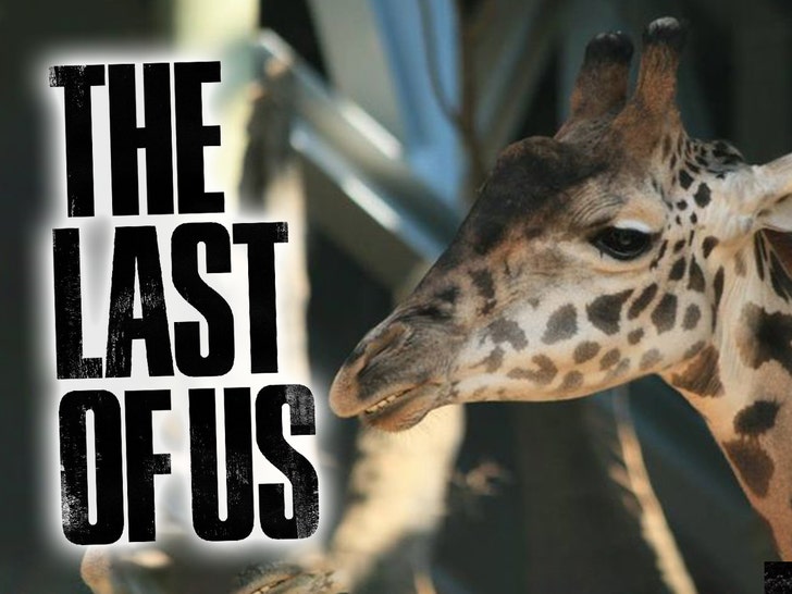 Nabo the Giraffe in Last of Us