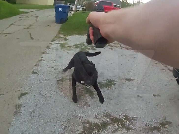 Iowa Dog Shooting Cop Body Cam Video Released, Dad Wants Officer in Jail