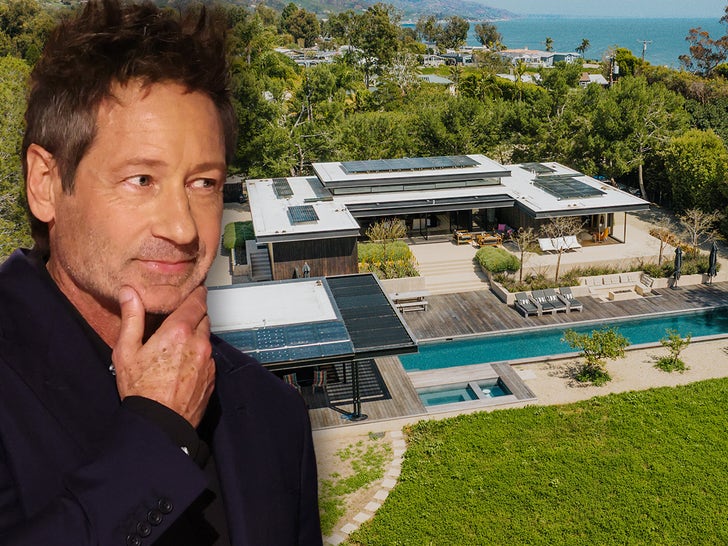 David Duchovny's Malibu Beach House
