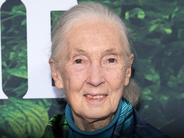 Remembering Jane Goodall